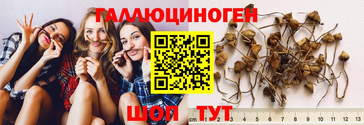 Псилоцибиновые грибы ЛСД  Псилоцибиновые грибы мицелий  Вход с VPN  Жуковский 